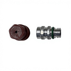 Válvula de Inspección de Refrigerante Tm 13277003 52458184 para Sistema de Aire Acondicionado de Buick, Chevrolet y Cadillac, Pieza de Repuesto - Product Image 3