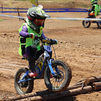 Moto électrique pour enfants de 16 pouces, cadre en aluminium, batterie au lithium 36V, pneus tout-terrain, suspension avant, 2 vitesses, pour enfants