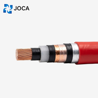 Cable de Alimentación Blindado con Aislamiento XLPE Estándar Europeo JOCA N2XSY NA2XSY para Distribución de Energía