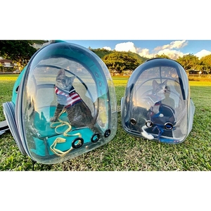 Sac à bulles respirant et extensible pour voyage en plein air, porte-sac à dos pour chat et animal de compagnie - Product Image 2