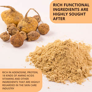 Oem Volwassenen Grote Billen & Heupverbetering Maca Gummies voor Mannelijke Verbetering Op Maat Gemaakt Kruidensupplement - Product Image 6