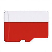 Carte Mini SD 64 Go 32 Go pour Enregistrement 4K, Carte TF Haute Vitesse Compatible avec les Caméras de Sécurité DVR, Disponible en Carte Mémoire 2 Go 512 Mo