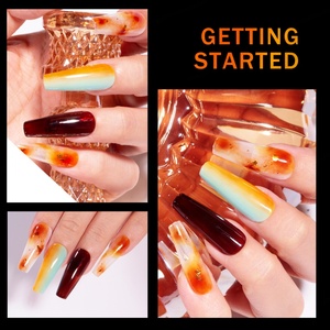 JTING Pigment de résine naturelle Effets multicouches 4 couleurs Couleurs Ambre Aurore Vernis à ongles en gel OEM Personnalisé Unique Pots de 5g - Product Image 4