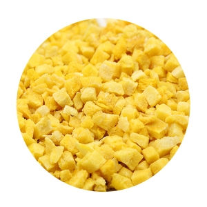 Mangues séchées congelées en dés 100% naturelles, collation saine, ingrédient de pâtisserie, transformées à basse température, technologie de conservation de la fraîcheur - Product Image 3