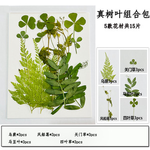 Tự Làm Nhựa Thủ Công Kit Với Khô Ép Hoa Lá Cho Nến Làm Cho Tự Nhiên Thủ Công Mỹ Nghệ Giáng Sinh Trang Trí Nguồn Cung Cấp Nghệ Thuật - Product Image 5