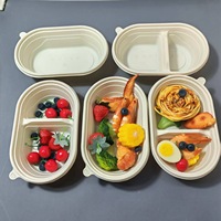 Boîte alimentaire biodégradable en bagasse de canne à sucre à deux compartiments de 750 ml, conteneur jetable compostable pour la vente à emporter et la restauration
