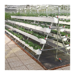 Système de culture hydroponique pour la culture de fraises, fabrication professionnelle, prix promotionnel, gouttière pour fraises NFT - Product Image 6