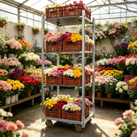 Chariot de présentation pour plantes, chariot à fleurs avec étagères en treillis métallique réglables, chariot de jardinage en acier galvanisé pour centre de jardinage et pépinière