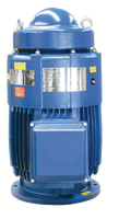 Moteur à induction vertical à arbre creux VHS-256 20 CV triphasé 380 V norme NEMA IP23 à forte poussée pour pompe de puits profond IE3 Énergie