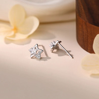 Kleine, exquisite Stern-Ohrringe mit Zirkonia für Damen, luxuriöser High-End-Look, vielseitige fünfzackige Stern-Ohrringe aus Silber