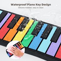 Wholesale 49-Key Portable 8 Tones 6 Educational Demo Digital Electric Roll up Keyboard Piano With Rechargeable Battery