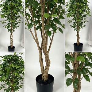 Directly Shipped Factory <b>Plastic</b> Banyan <b>Tree</b> Poles-Durable Eco-Friendly Decor for Thanksgiving Wedding Christmas New Year - Product Image 4