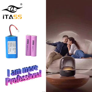 ITASS蓝牙扬声器DMEGC 18650超长3.7V 5200毫安时锂离子电池组原电池出色的电池寿命 - Product Image 1