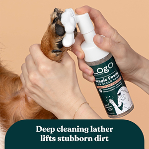 Shampooing <span class=keywords><strong>Sec</strong></span> Sans Eau Marque Blanche pour Chiens, Chats et Animaux – Nettoyant Patte Anti-Odeur – Idéal pour Chiots – Brosse Nettoyante pour Pattes – Shampooing <span class=keywords><strong>Sec</strong></span> - Product Image 2