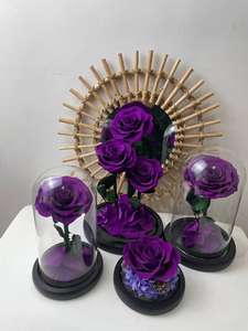 Vente en gros <span class=keywords><strong>La</strong></span> <span class=keywords><strong>Belle</strong></span> <span class=keywords><strong>et</strong></span> <span class=keywords><strong>la</strong></span> Bête Roses éternelles <span class=keywords><strong>Prince</strong></span> 15*30 Rose conservée dans une boîte cadeau en verre pour petite amie - Product Image 3