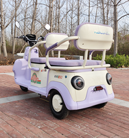 Kit Tricycle Électrique Classique Populaire à Sièges, Tricycle Passager Électrique Ouvert Complet, Moteur Brushless 650W-1000W, 50-70Km/h