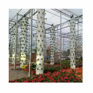 2023 Aeroponic Hydro ponic Strawberry Cultivation Vertikales Turmgarten-Hydro ponik system mit Bewässerungs system