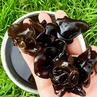 Vente en gros Emballage en vrac AD Tranches de champignons noirs séchés Carotte fraîche Légumes séchés au four Motif de poudre Poivre noir pur