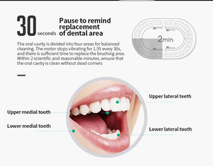 USB Rechargeable Ultrasonic <strong>Electric</strong> <strong>Toothbrush</strong> Adults Portable Travel Sonic <strong>Toothbrush</strong> 4 Brush Heads With 6 Operating Modes - Product Image 4