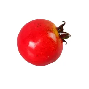 Künstliche Frucht, imitierender Polyschaum-Granatapfel