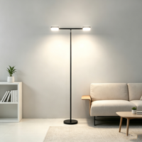 Lampe sur pied LED à double tête rotative 48W, protection des yeux, intensité réglable, pour salon, chambre, décoration d'angle