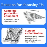 Clous ronds courants en fer galvanisé poli de 1, 2, 3, 4, 5 et 6 pouces pour la construction - Vente en gros