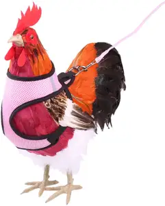 BSCI定制鸭鹅母鸡训练步行可调带皮带的鸡背带