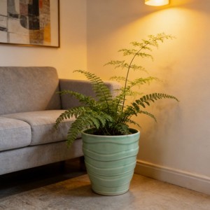 Pots <span class=keywords><strong>de</strong></span> fleurs en céramique écologiques, durables et bon marché, jardinières murales d'extérieur, finition émaillée, design antique et contemporain - Product Image 3