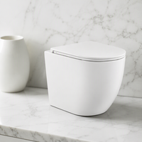WC monobloc blanc durable à chasse d'eau Tornado Cyclone 180 mm avec siphon en P, équipement sanitaire en céramique pour salle de bain, certifié CE WaterMark