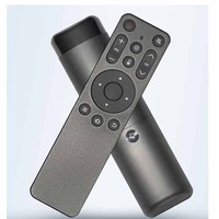 Télécommande intelligente personnalisée pour téléviseur, 16 boutons, commande vocale BLE, OEM, code IR personnalisé, Android, code fixe, pile AAA