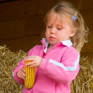 Belleworld กิ๊บติดผมรูปผีเสื้อหลากสีสำหรับเด็กผู้หญิงคลิปหนีบ<span class=keywords><strong>ผม</strong></span>รูปผีเสื้อขนาดเล็กสำหรับ<span class=keywords><strong>ผม</strong></span><span class=keywords><strong>ยาว</strong></span> - Product Image 3