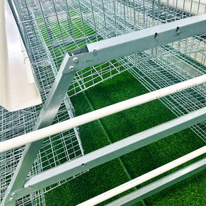 Nouvelle <span class=keywords><strong>Cage</strong></span> de poulailler à batterie de type <span class=keywords><strong>A</strong></span> pour volaille, œufs, poulets, poules pondeuses, coop d'élevage, vente exclusive - Product Image 6