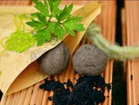 Bombes à graines de jardin avec tourbe – Jouet original pour plantation décorative