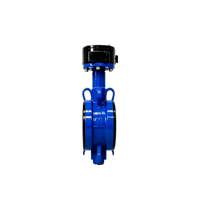 Katup Kupu-kupu Wafer Berpenggerak Worm Gear PN16 Besi Ulet Dudukan EPDM DN150-DN500 Roda Tangan Manual untuk Pipa Air