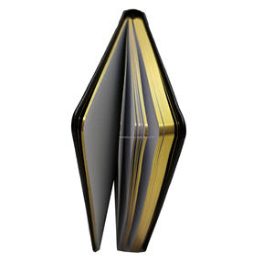 Diario de fabricación con páginas doradas para diarios Ali - Product Image 6