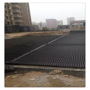 Nhựa lúm đồng tiền thoát nước Hội Đồng Quản Trị/Giá tấm - Product Image 2