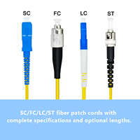 Cordon de brassage fibre optique durable en PVC/LSZH Simplex/Duplex Monomode 1M 2M 5M 10M 50M pour applications FTTX