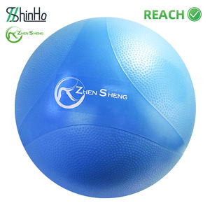 Zhensheng Venta caliente Nuevo diseño Ecológico Yoga Ball 55CM 65CM 75CM Swiss Ball Anti Burst <span class=keywords><strong>Pilates</strong></span> Balls con bomba - Product Image 2