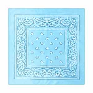 Bandanas Personalizadas con Estampado, Conjuntos a Juego para Perros y Gatos, Ideales para Paseos, Salidas al Parque y Diversión - Product Image 6