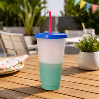 Gobelet de voyage isotherme réutilisable en plastique sans BPA, changeant de couleur, avec couvercle, pour accessoire de fête