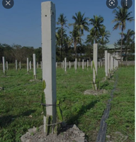 Machine d'extrusion de poteaux en béton préfabriqué précontraint Victory Brand avec moteur pour la plantation de fruits du dragon