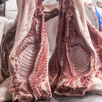 Daging Babi Beku Berkualitas Tinggi Grosir Harga Murah Kemasan Kotak Kelas Pemotongan A 25kg