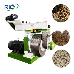 Fácil de operar CE aprobado 6mm China 2-3 toneladas por hora Precio de máquina de pellets de madera industrial