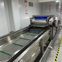 Système continu de convoyeur automatique 3 mètres 4 mètres 5 mètres 6 mètres SUS304 Machine à laver les fraises fraîches à bulles d'eau