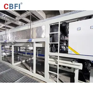 CBFI 10 15 20 25 30 50 ton buz blok yapma makinesi endüstriyel balık buz blok makinesi bitki