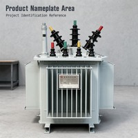 Transformateur immergé dans l'huile S13 30kVA 50kVA 100kVA pour l'alimentation électrique des communautés et des petites usines 160 315kVA 30/50/100kVA