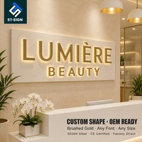 Enseigne LED en acrylique Shuntai, logo 3D rétroéclairé personnalisé, lettres en acier inoxydable pour clinique dentaire, cabinet médical, réception