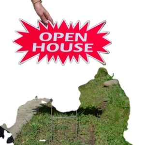 Logotipo Personalizado e Impresión al por Mayor, Mejor Precio, Publicidad Comercial, Letreros de Jardín de Polipropileno Corrugado con Diseño de Estrella - Product Image 3