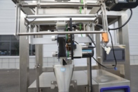 Machine d'emballage verticale à haute productivité Elemotion pour sachets de bonbons liquides, fabriquée en Chine, moteur principal, sacs en plastique, formage, remplissage et scellage