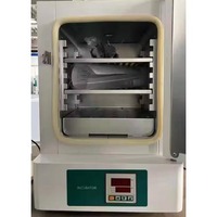 Équipement de laboratoire BN-WPL Four de séchage d'incubateur bactérien expérimental de haute précision à température constante